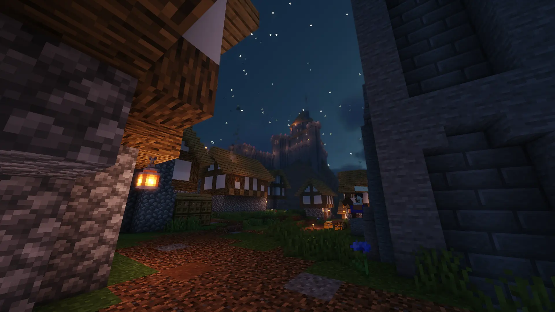 The castle seen from within the village at night